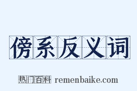 傍系反义词是什么意思的图片